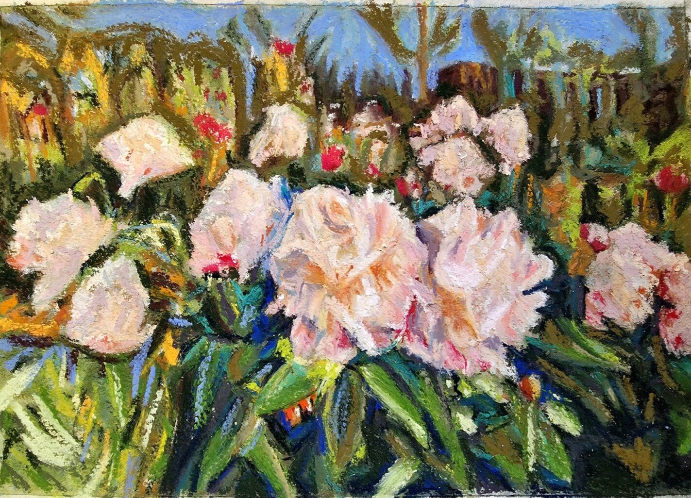 Golden Hour in the Garden by Jenn Wood
