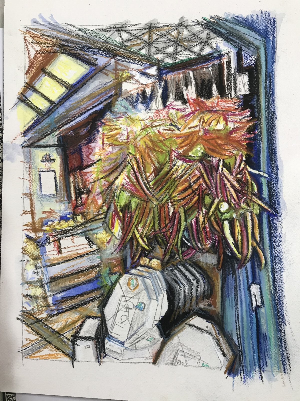 Study of brightly coloured peppers with soft pastel and coloured pencil marks.