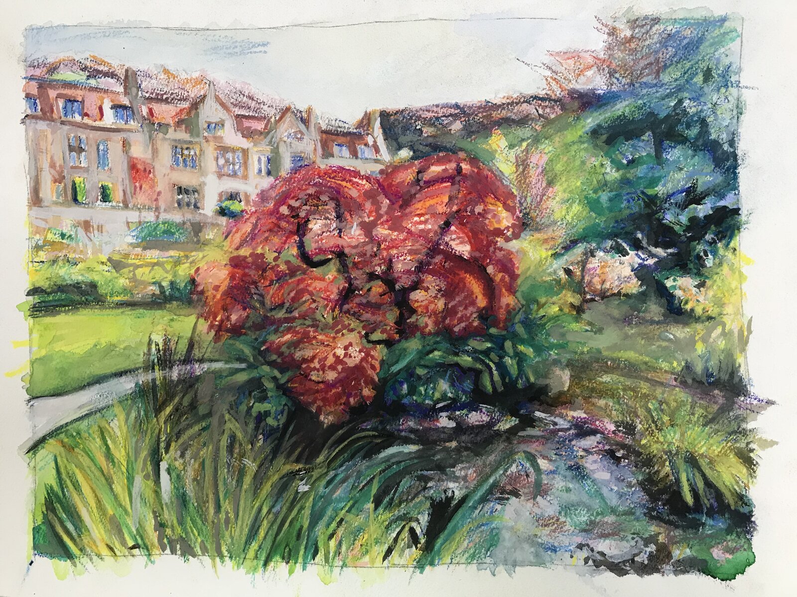 Process image of Red Acer at Mount Grace Priory focusing on vivid red foliage.