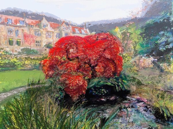 Vivid red acer tree at Mount Grace Priory against softer natural surroundings.